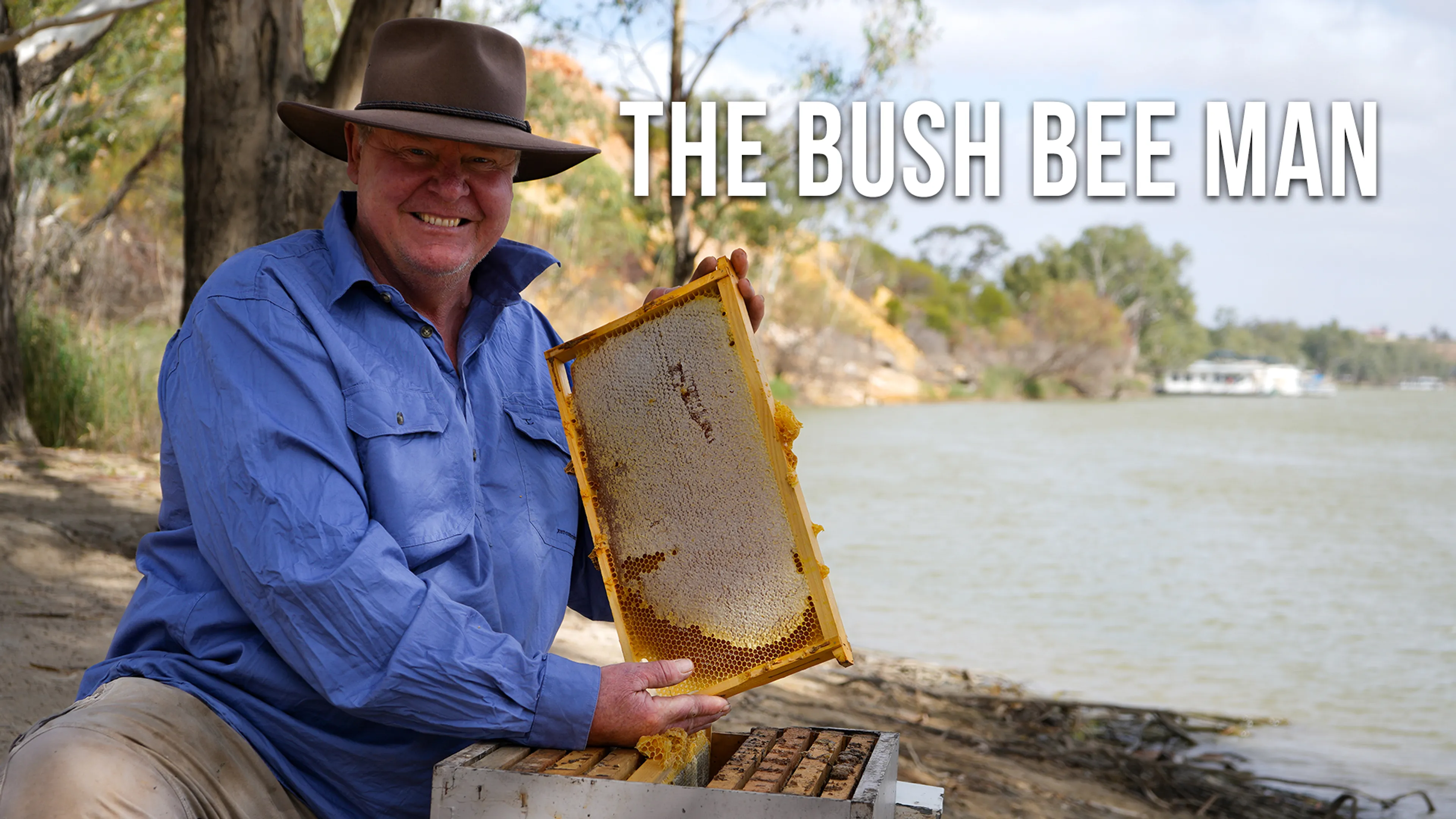 The Bush Bee Man poster